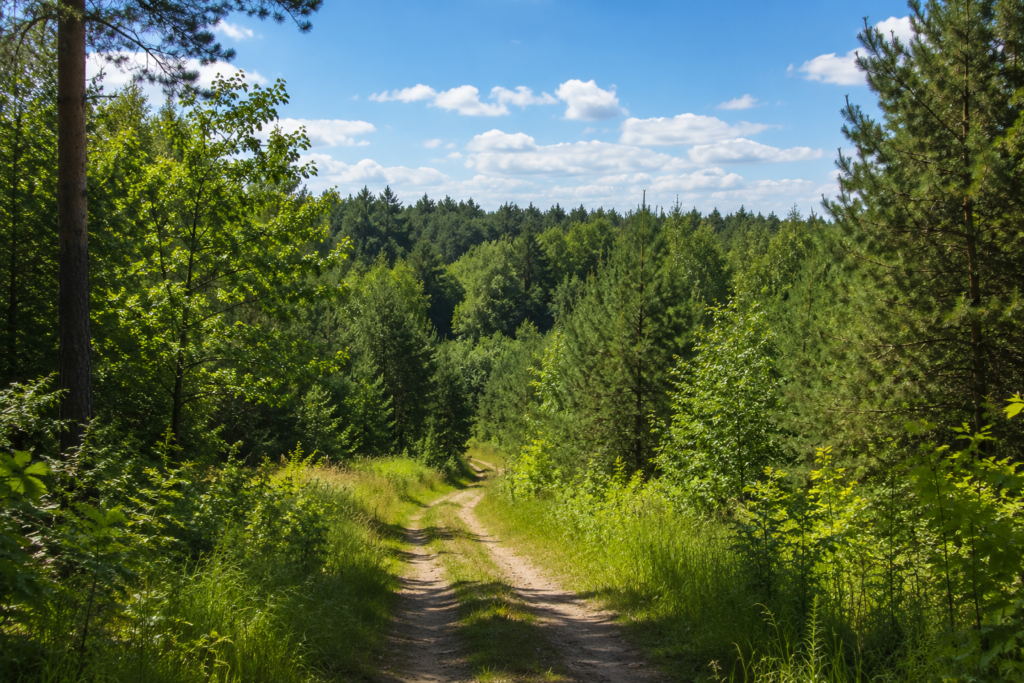 Ostrów Mazowiecka